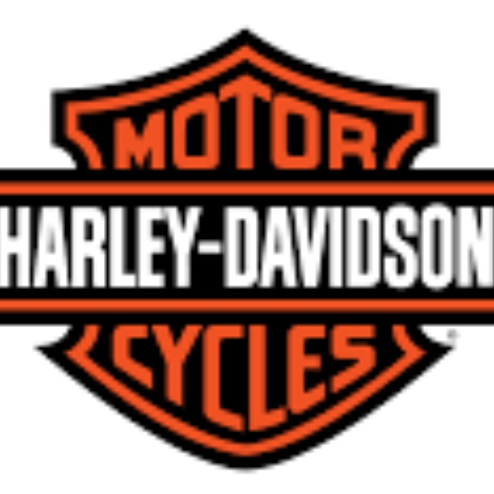 Harley Davidson Mystery Box-Small & Medium & Large